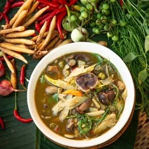 Bamboo Soup